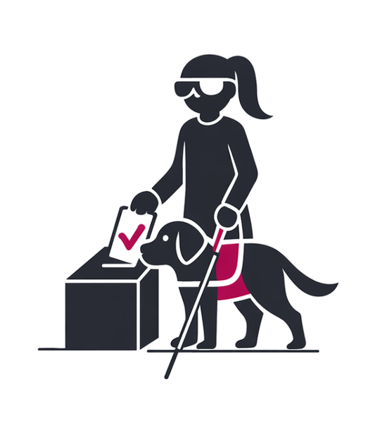 Consulta a Personas con Discapacidad Visual y sus Organizaciones