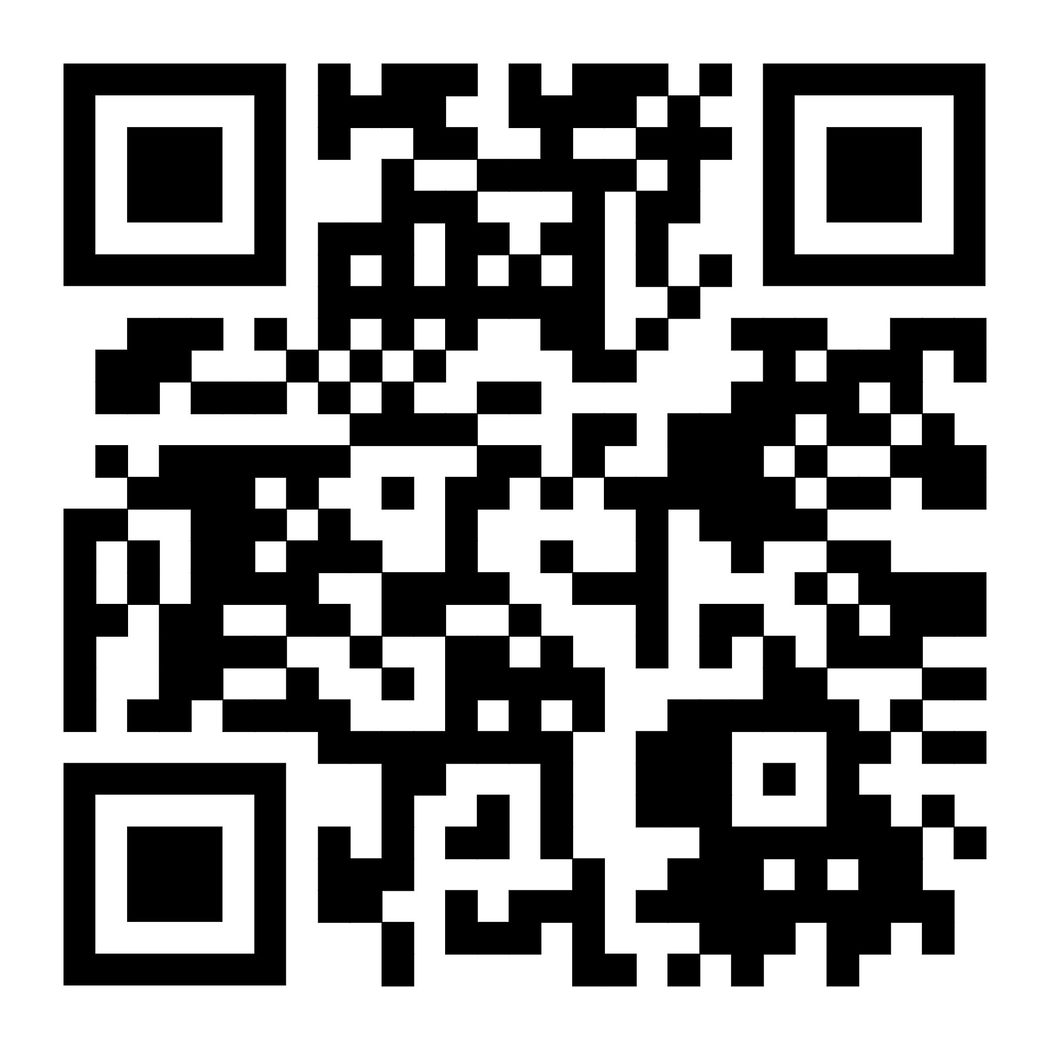 Violencia Política 1