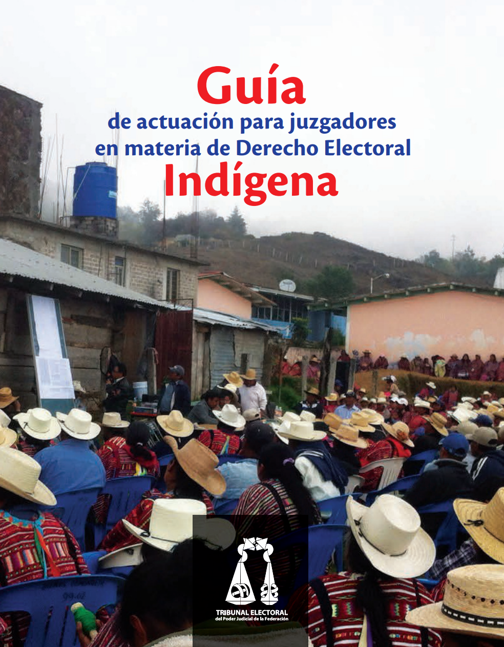 Guía de actuación para juzgadores en materia de Derecho electoral Indígena